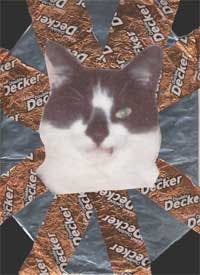 user avatar image for Will