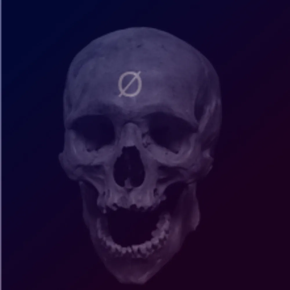 user avatar image for NullZer0Null