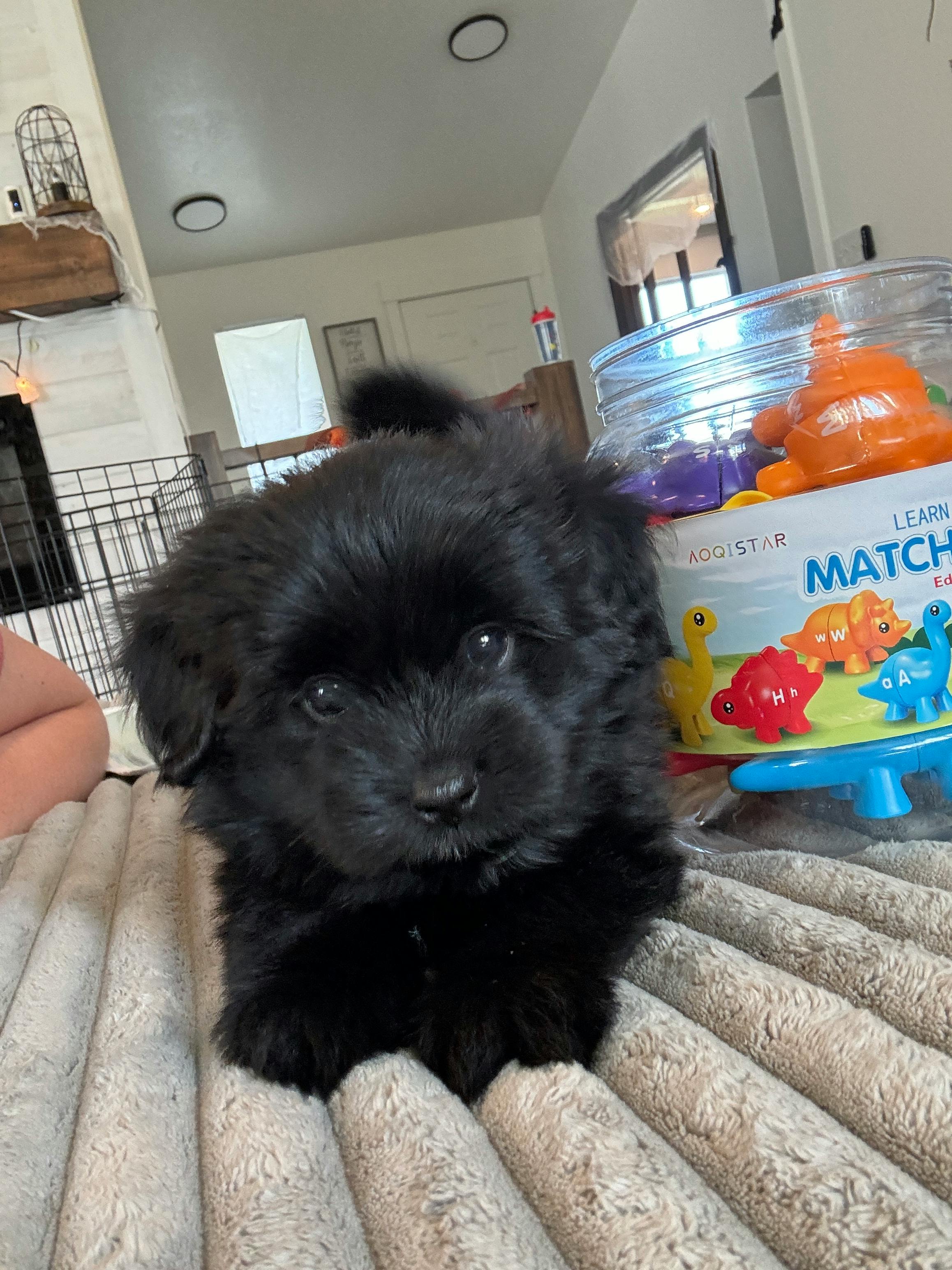 user avatar image for Toni Miller