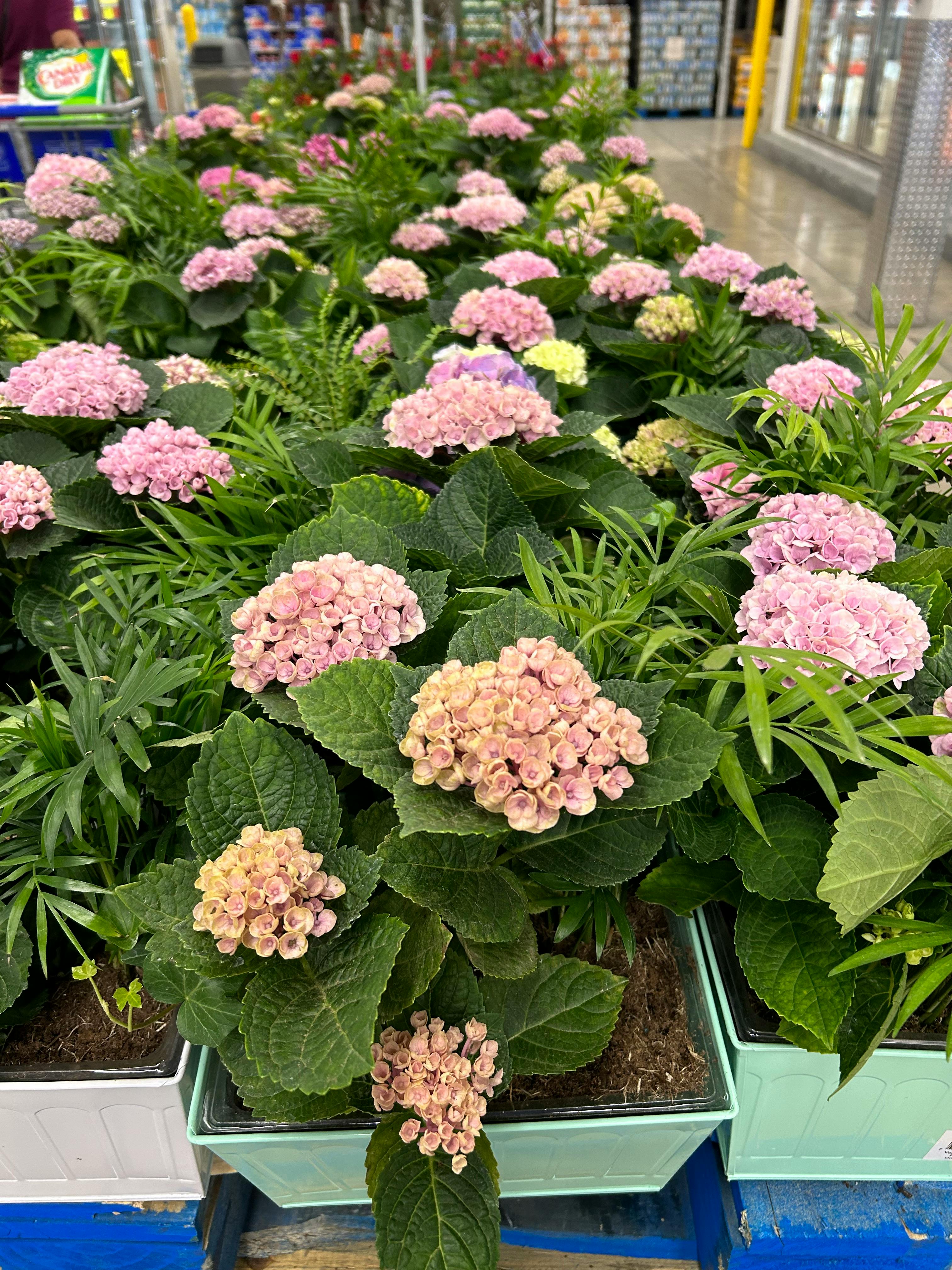 user avatar image for Monzerrat Castillo