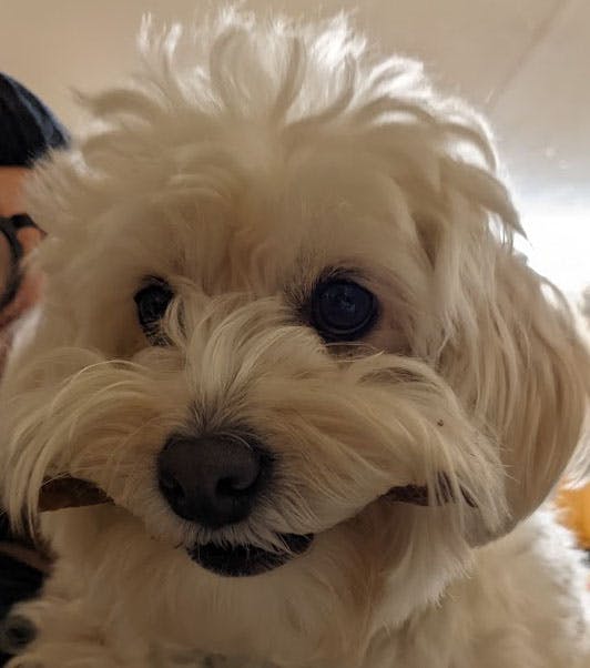 user avatar image for Richie Ablaza