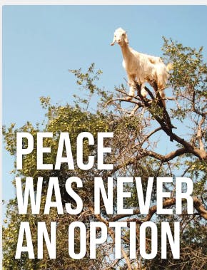 user avatar image for Chris Carlsen