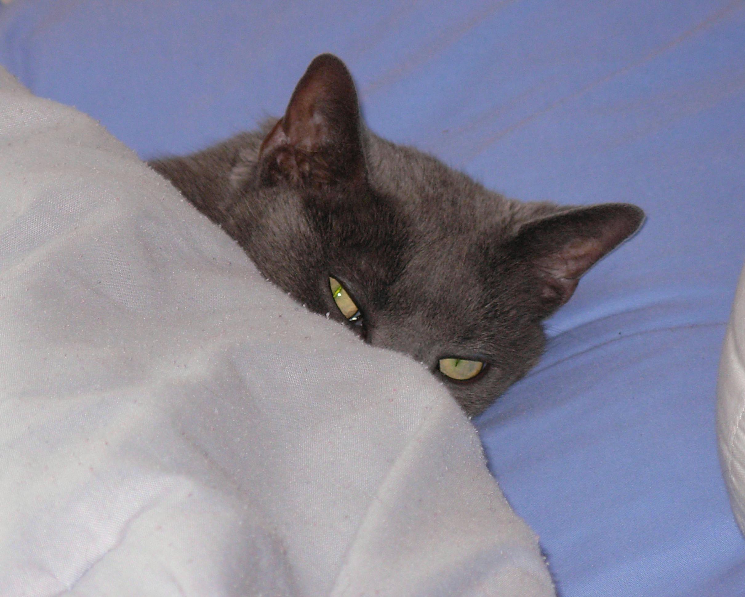 user avatar image for LiminalKate