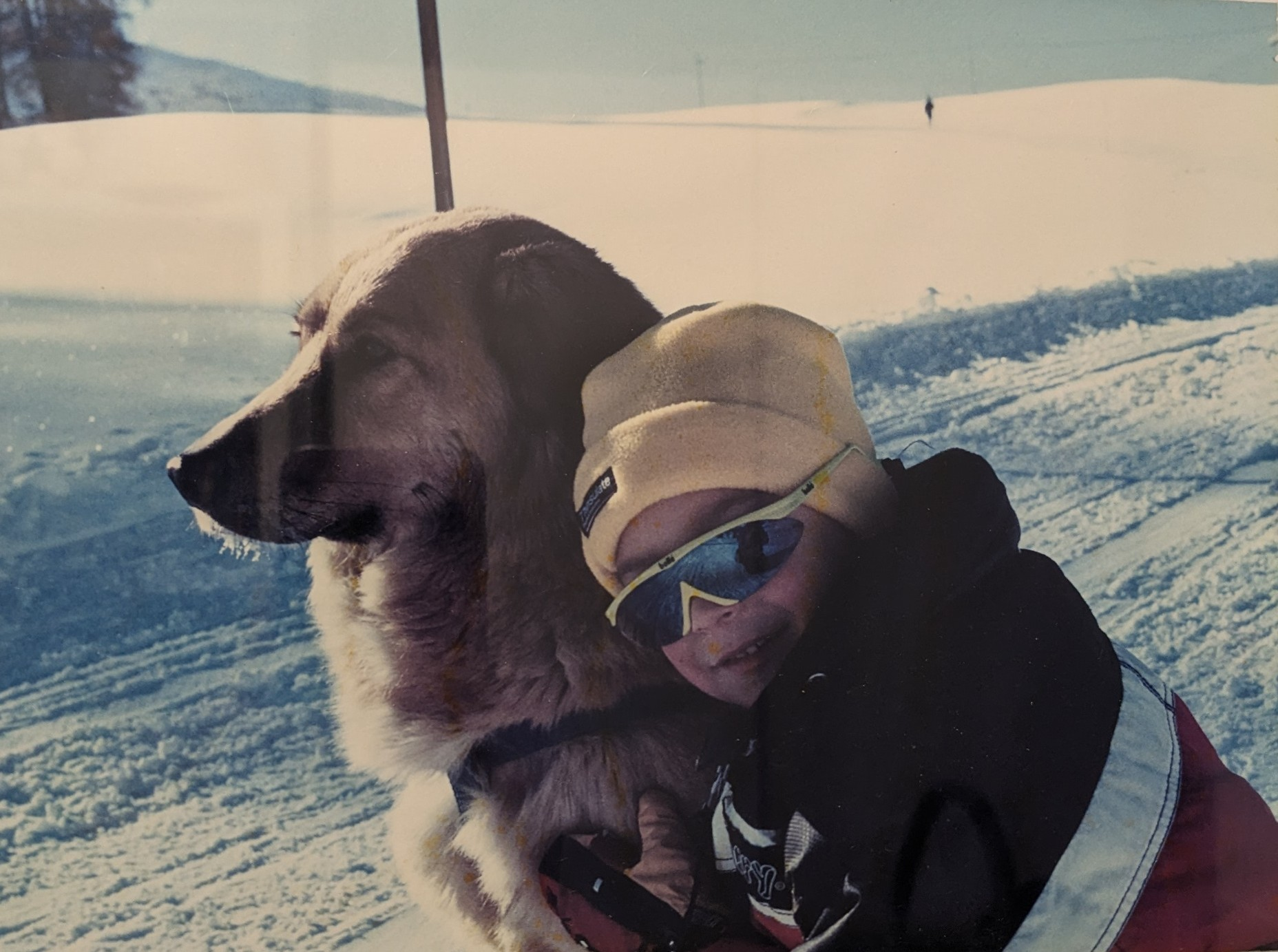 user avatar image for Matteo