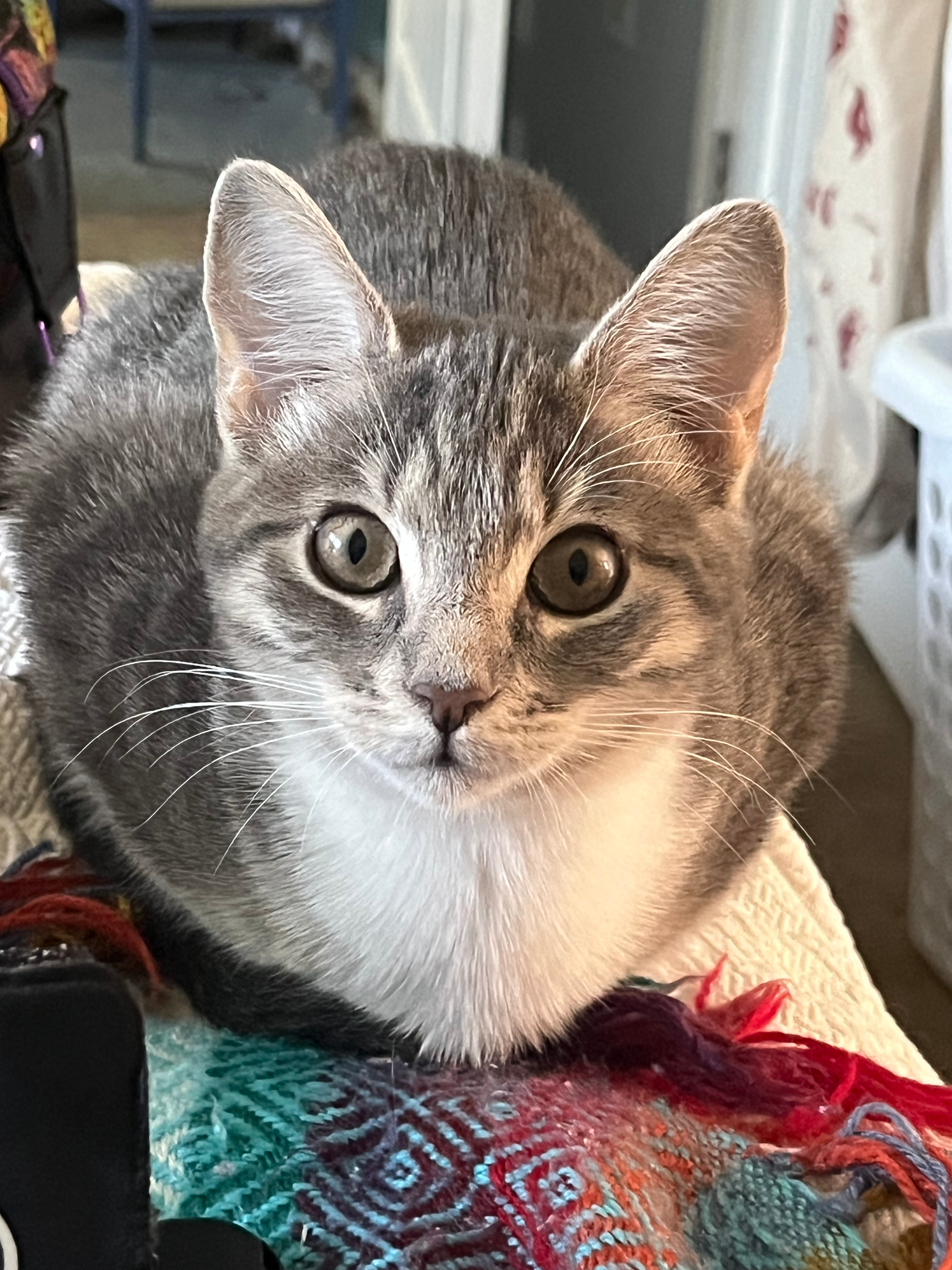 user avatar image for Cathy Coley