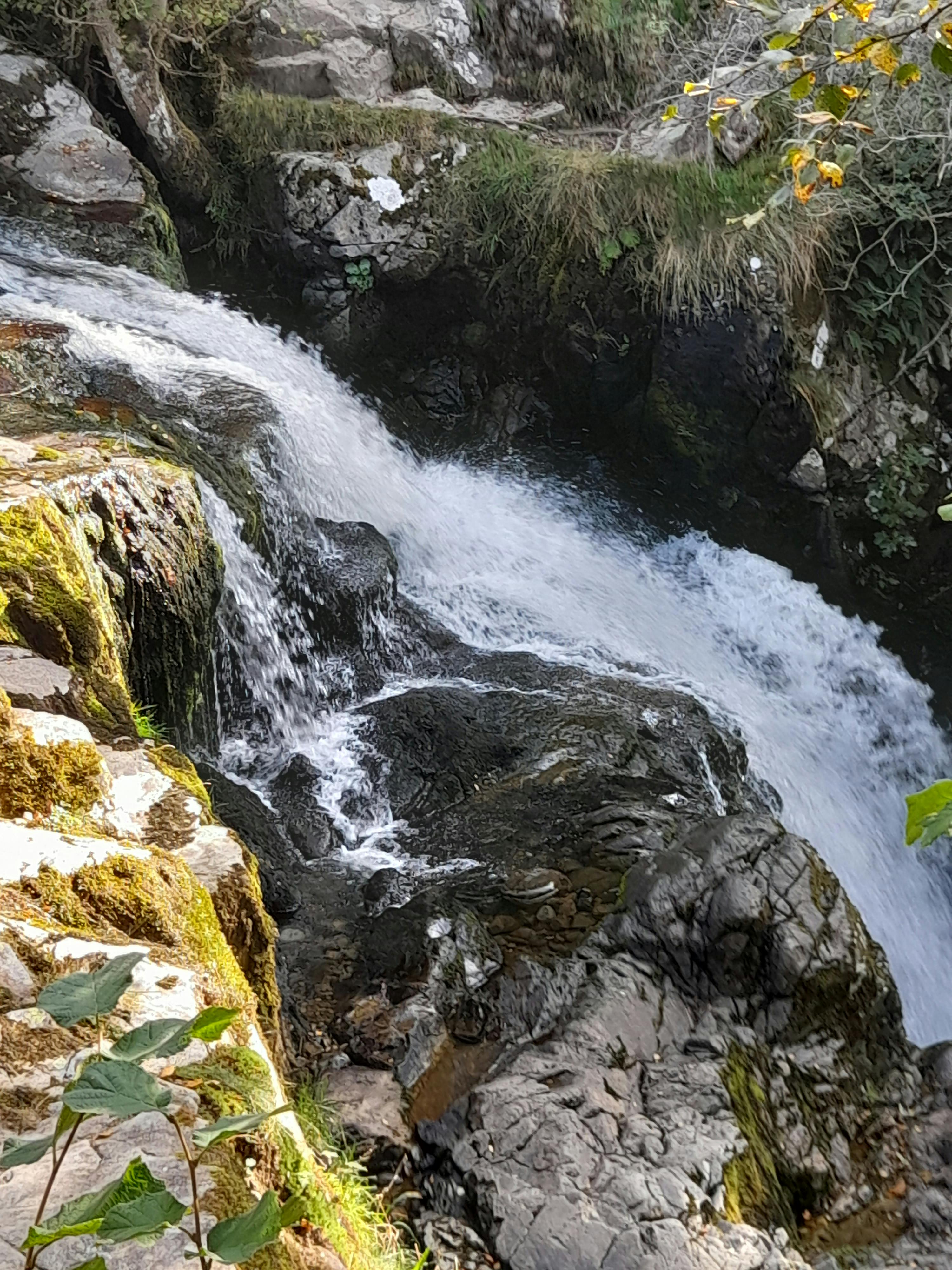 user avatar image for Ashley 