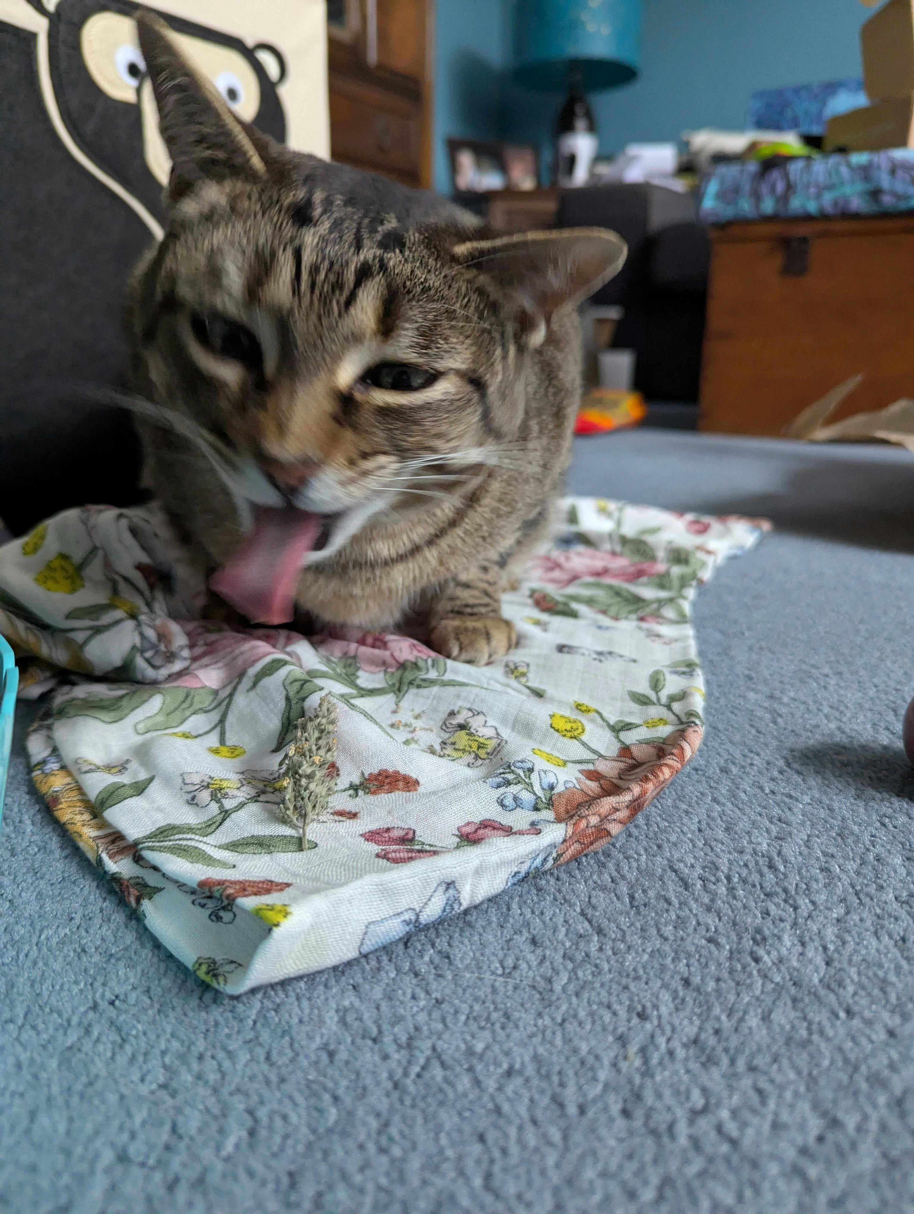 user avatar image for Emma