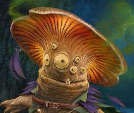 user avatar image for James Warner