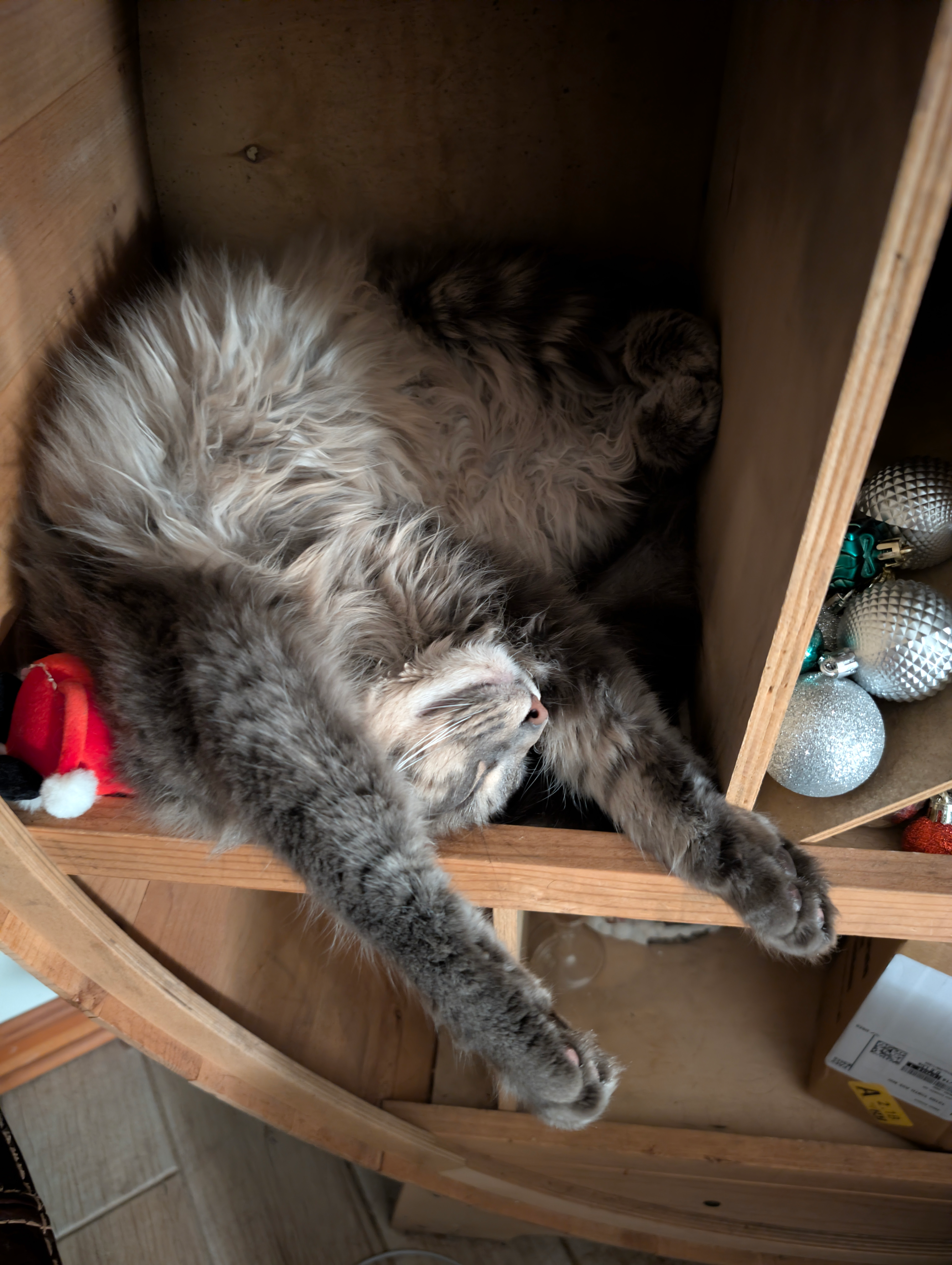 user avatar image for NeekerBreekerz