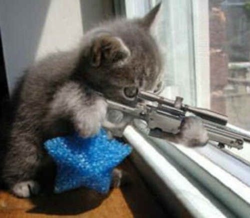 user avatar image for SniperFodder