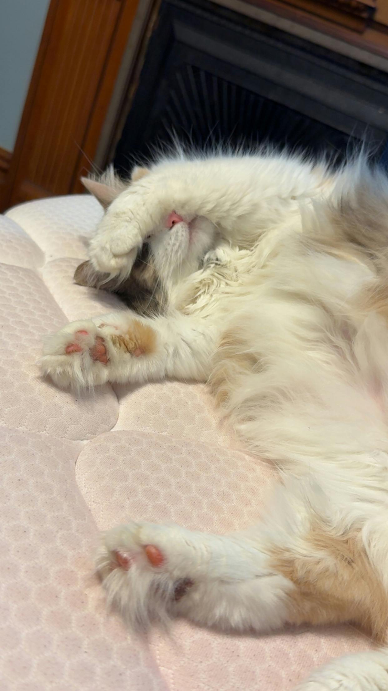 user avatar image for Kayla