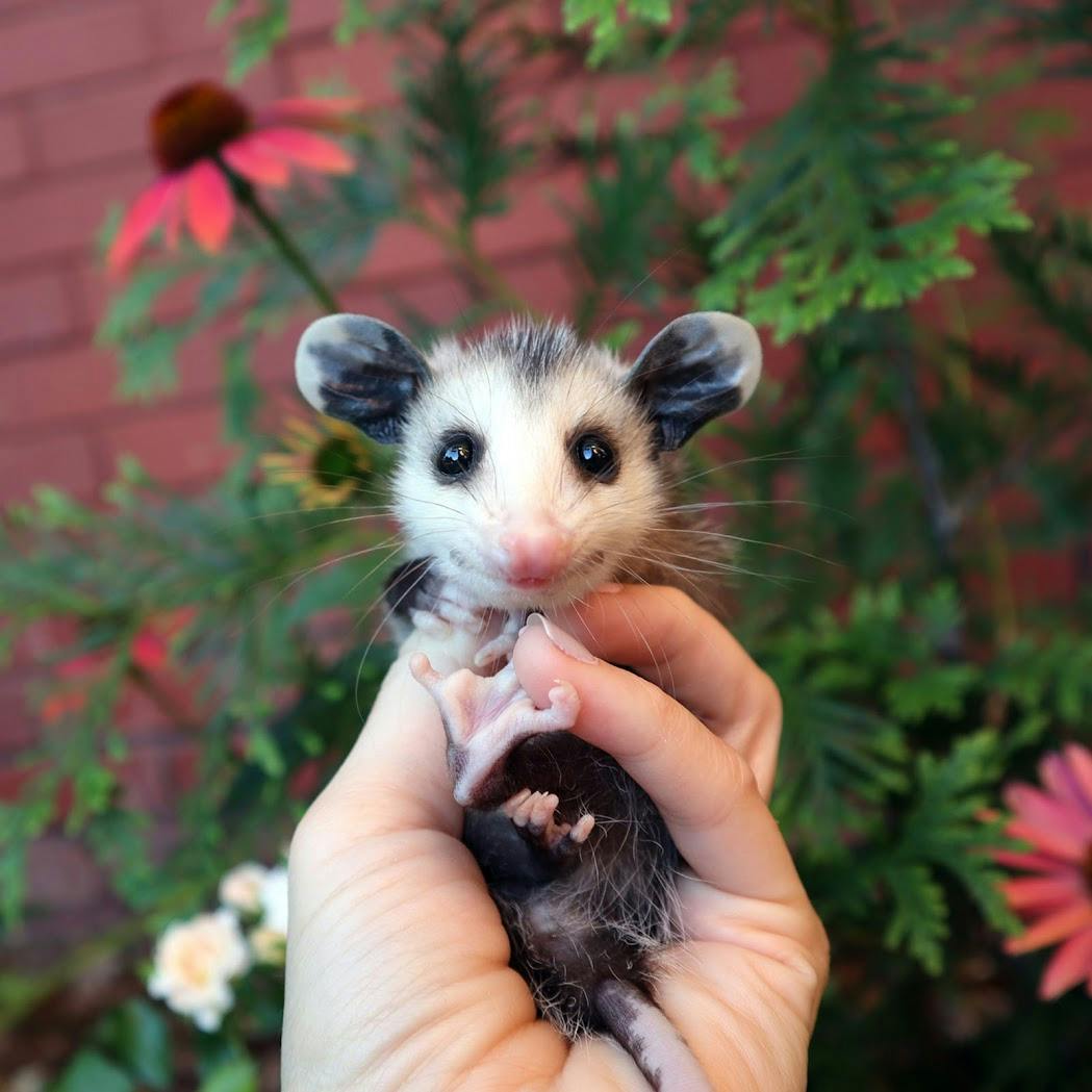 user avatar image for WendiGoobz