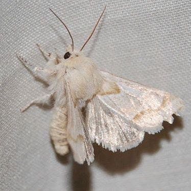 user avatar image for forr3st