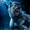 user avatar image for Nika Snape