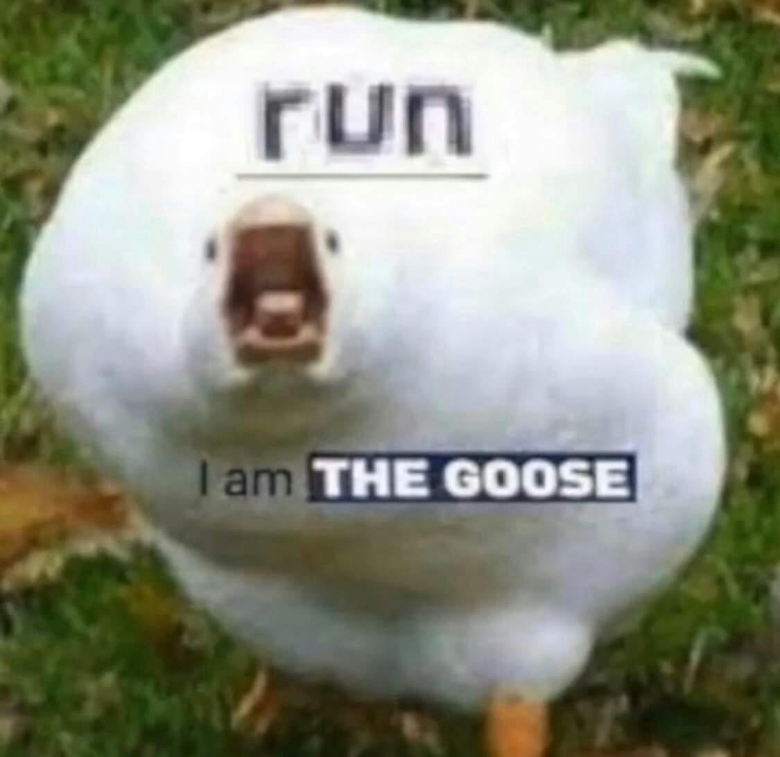 user avatar image for radbeetle