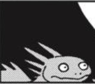 user avatar image for kaleido