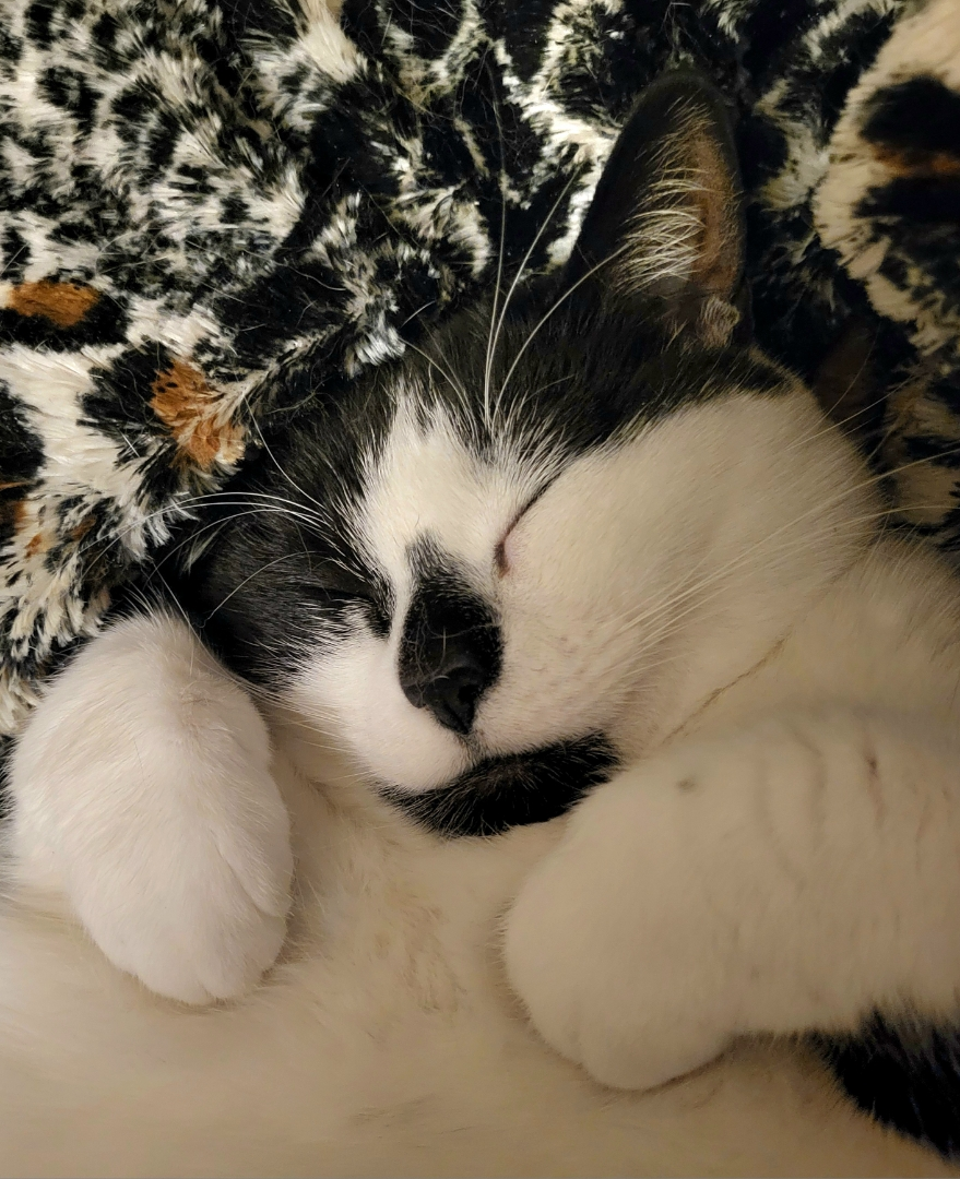 user avatar image for Sandra Bong