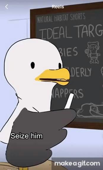 user avatar image for 123gome 
