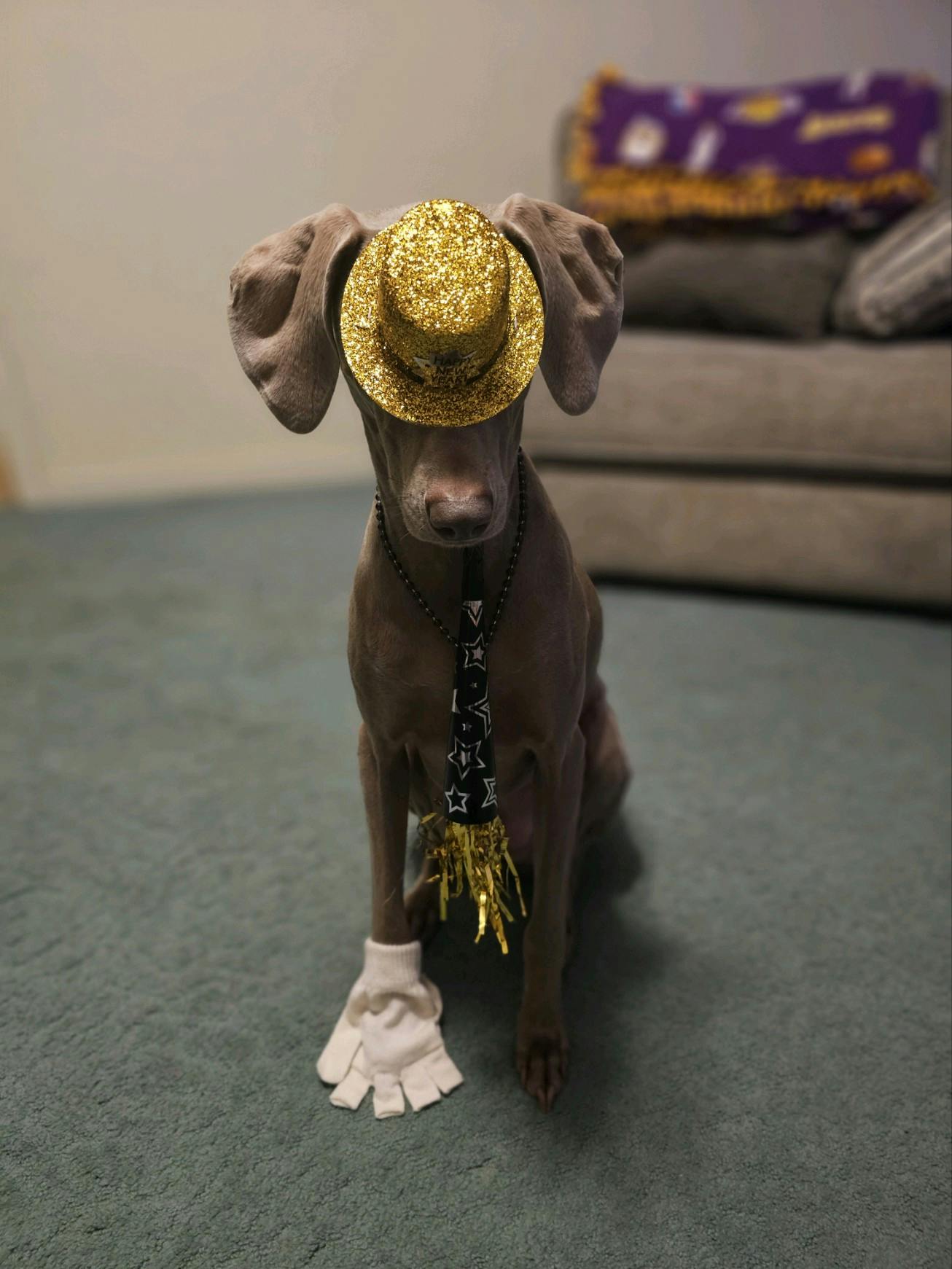 user avatar image for Rand althoar