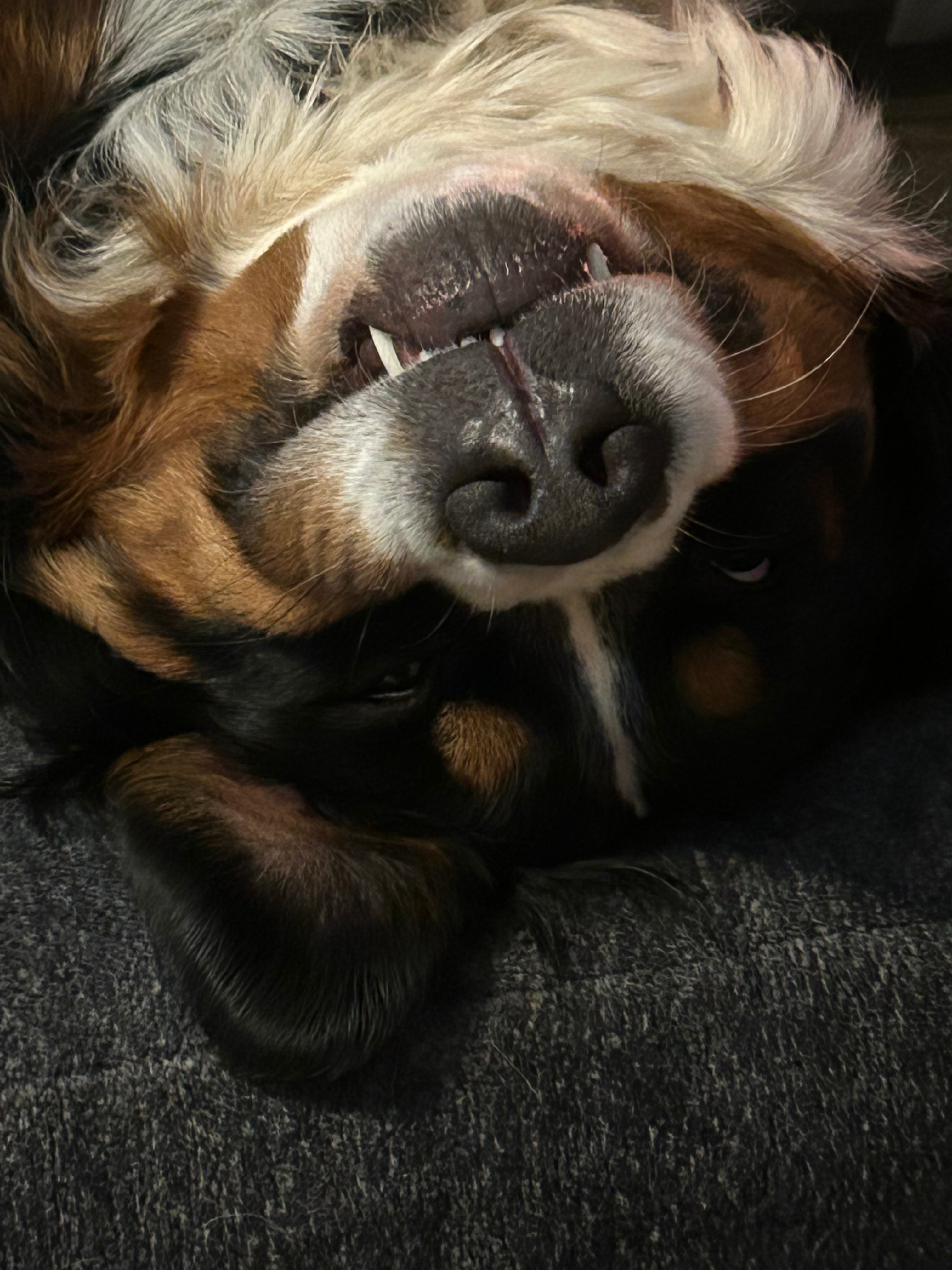 user avatar image for Tday23