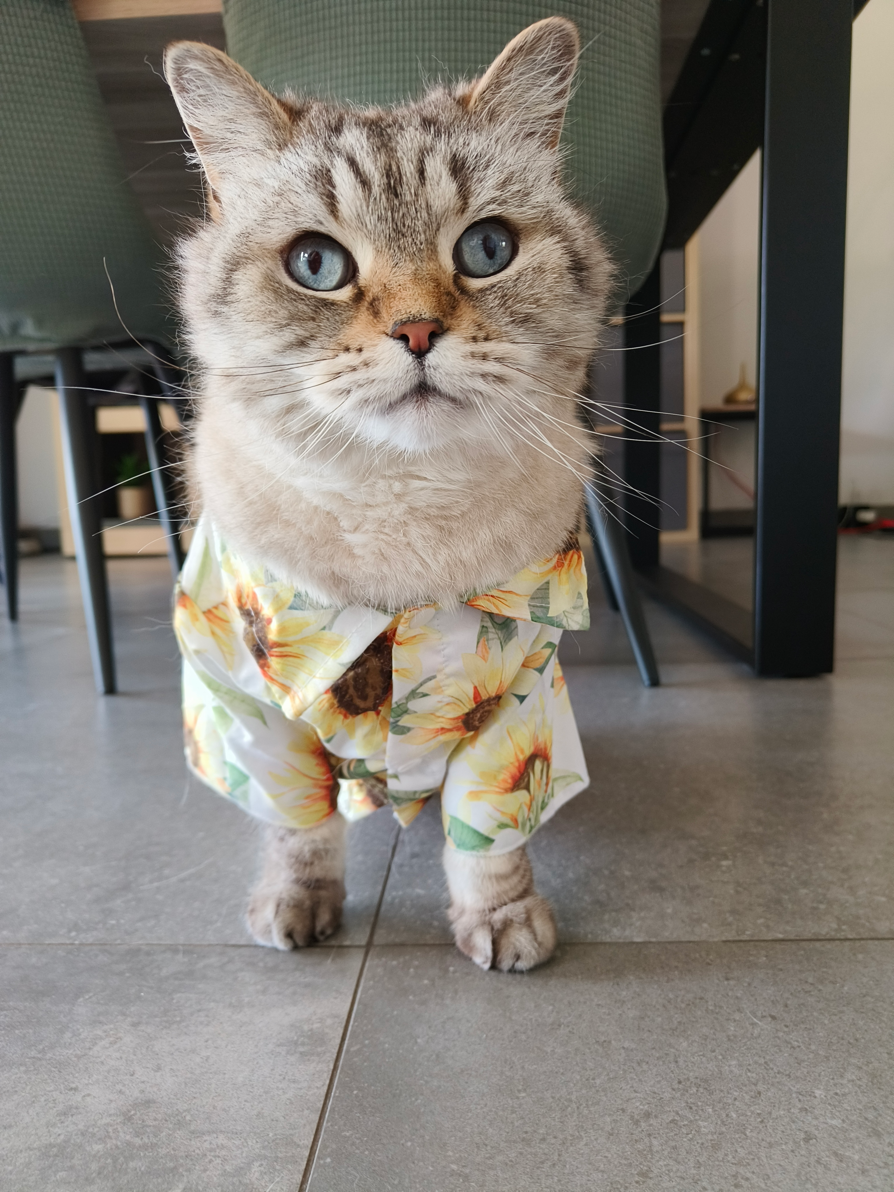 user avatar image for Kimzehs