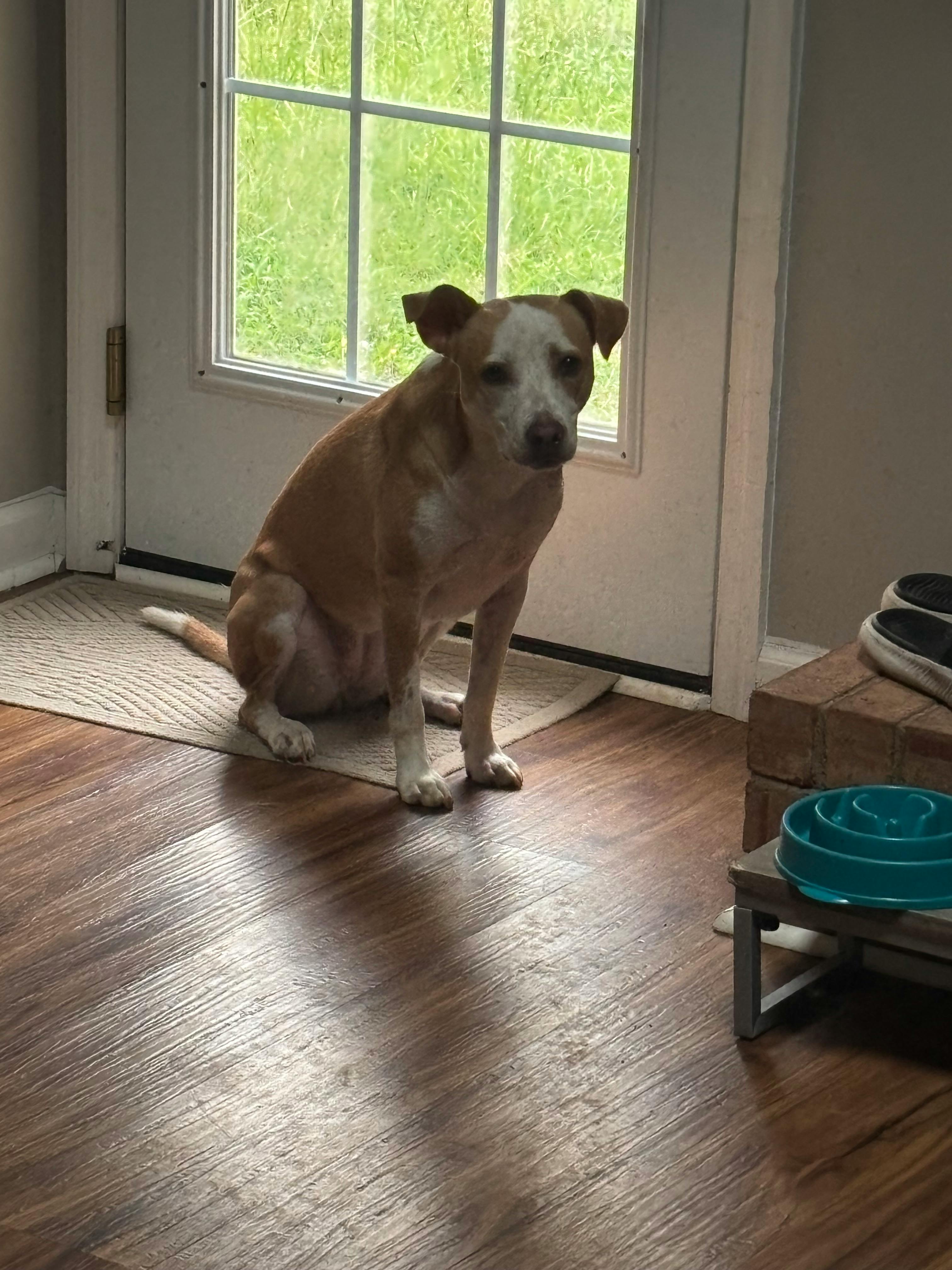 user avatar image for Anna Koogler