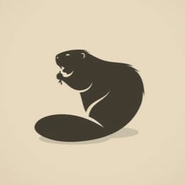 user avatar image for CoricoTheBeaver