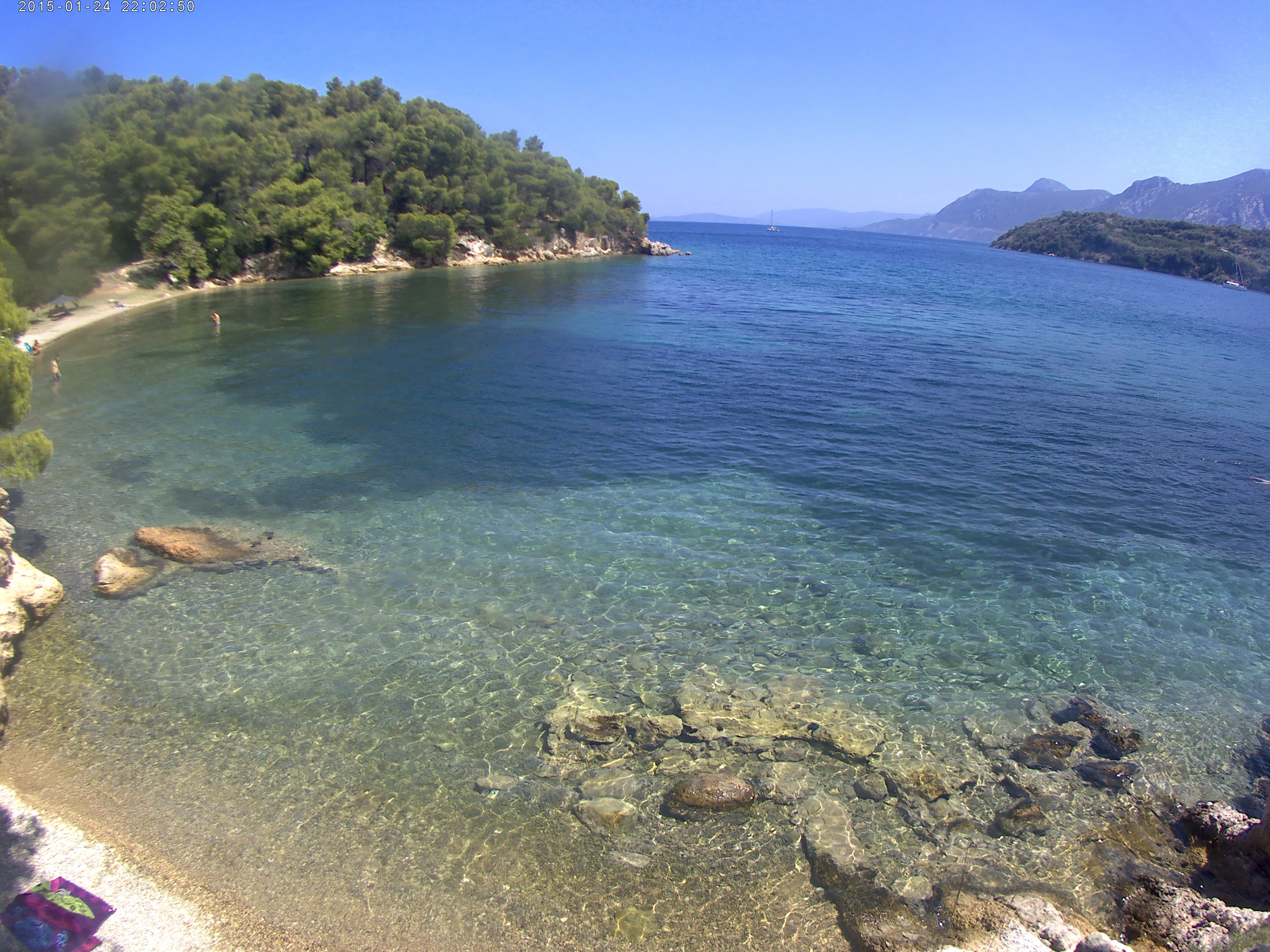 user avatar image for Waan