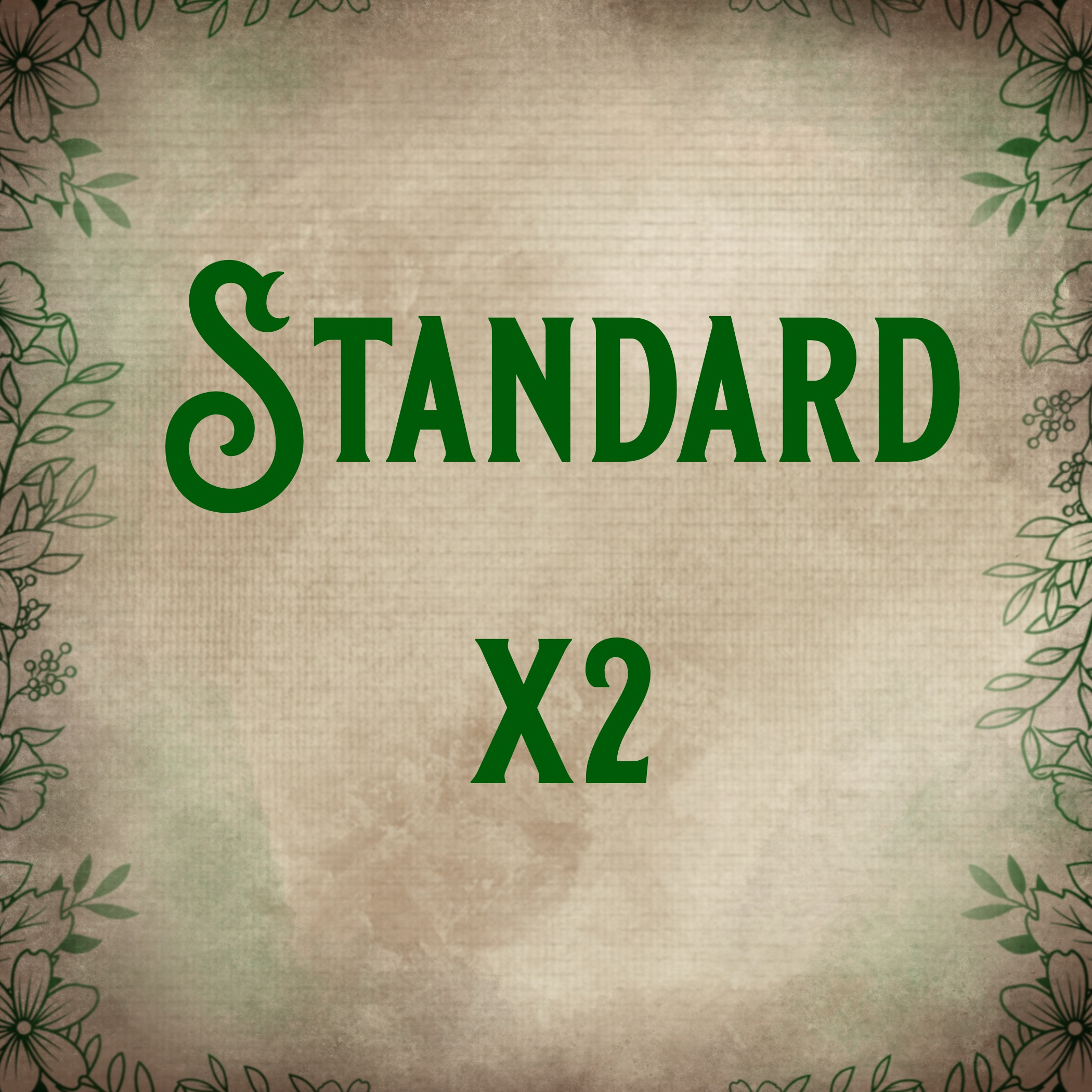 x2 Standard Pins