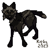 user avatar image for Rieka