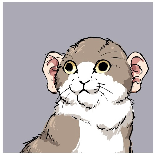 user avatar image for Adam