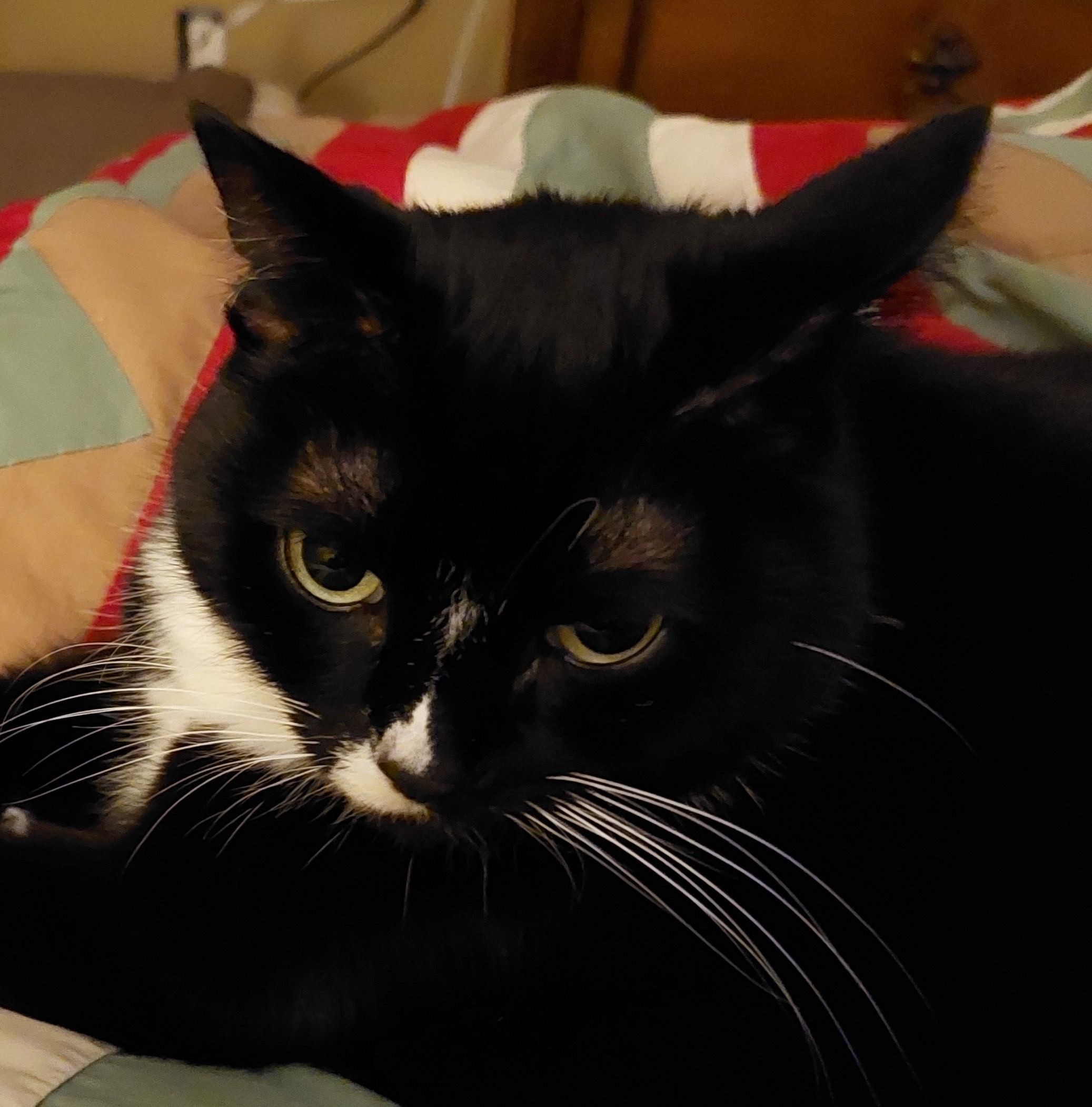 user avatar image for Robb Matz