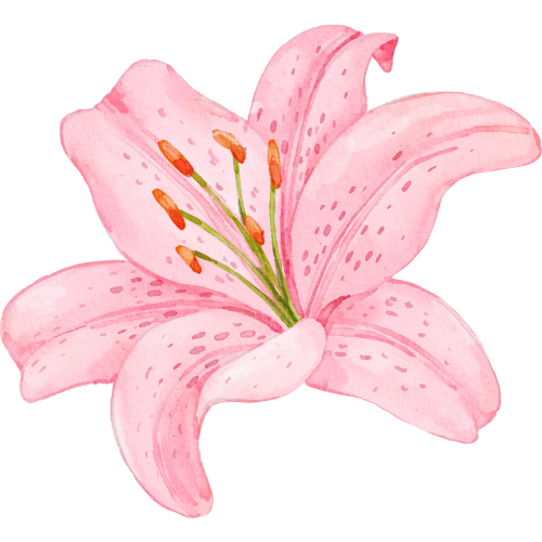 user avatar image for Sara Smith