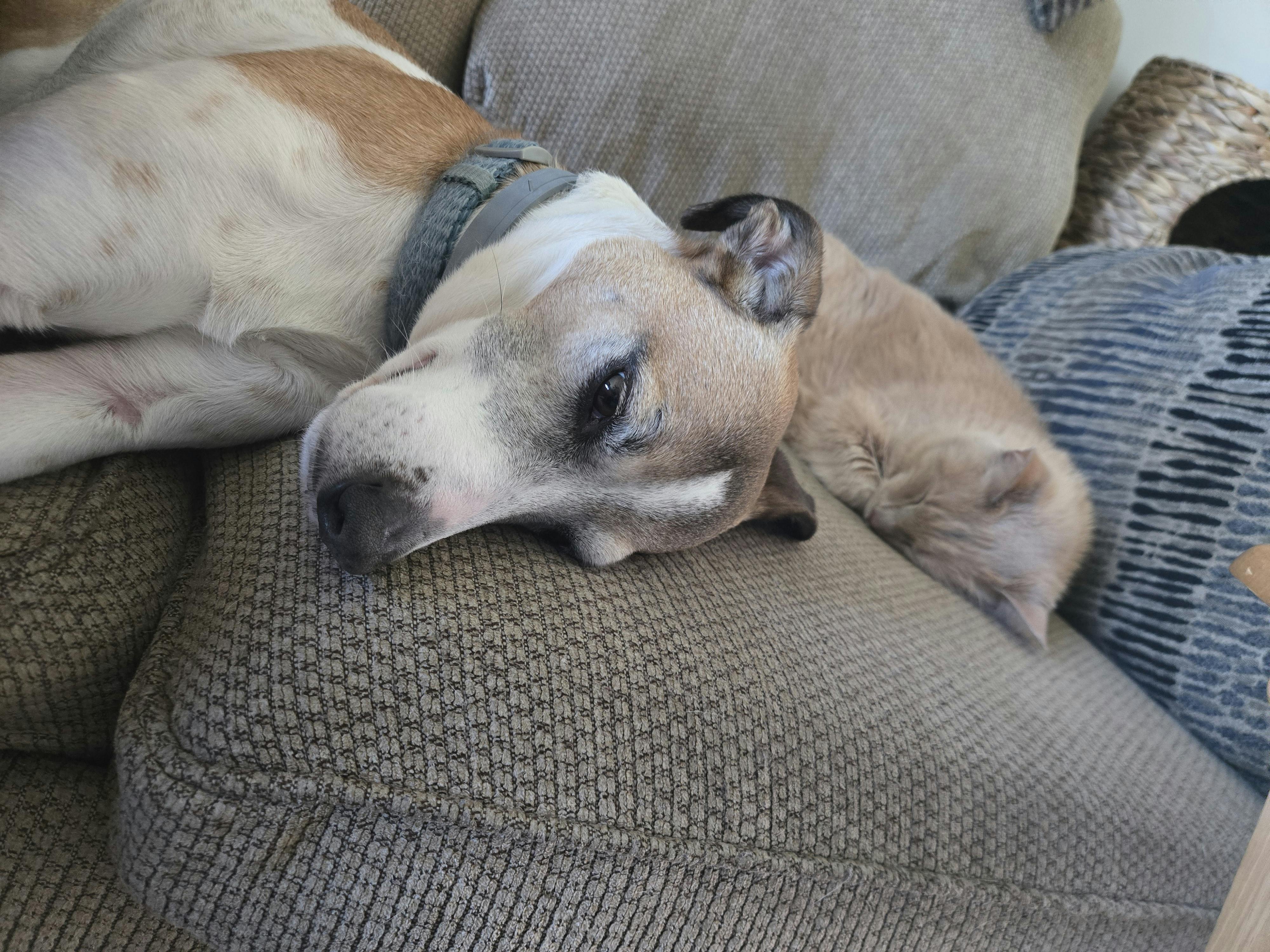 user avatar image for Bonnie