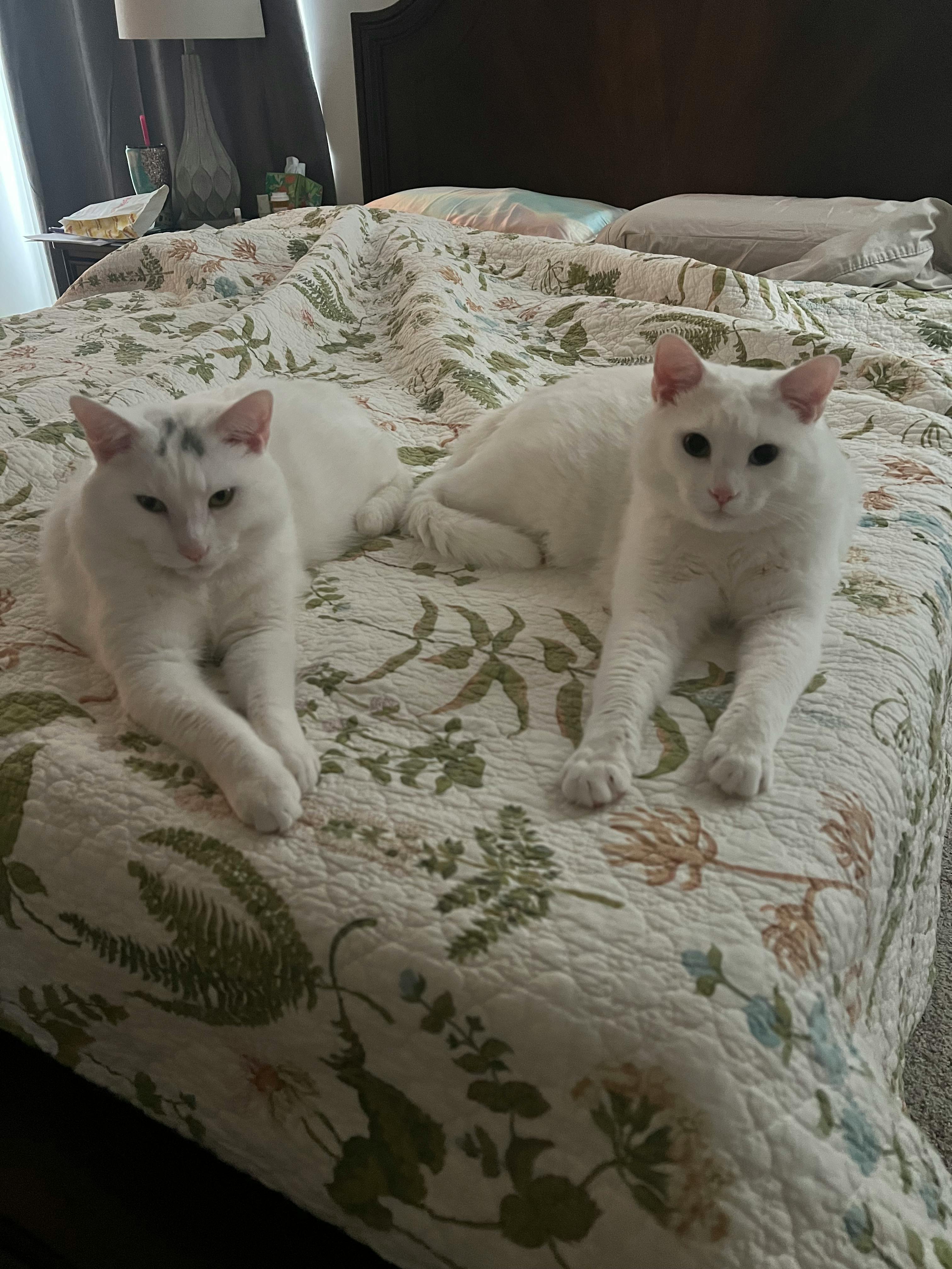 user avatar image for Hannah