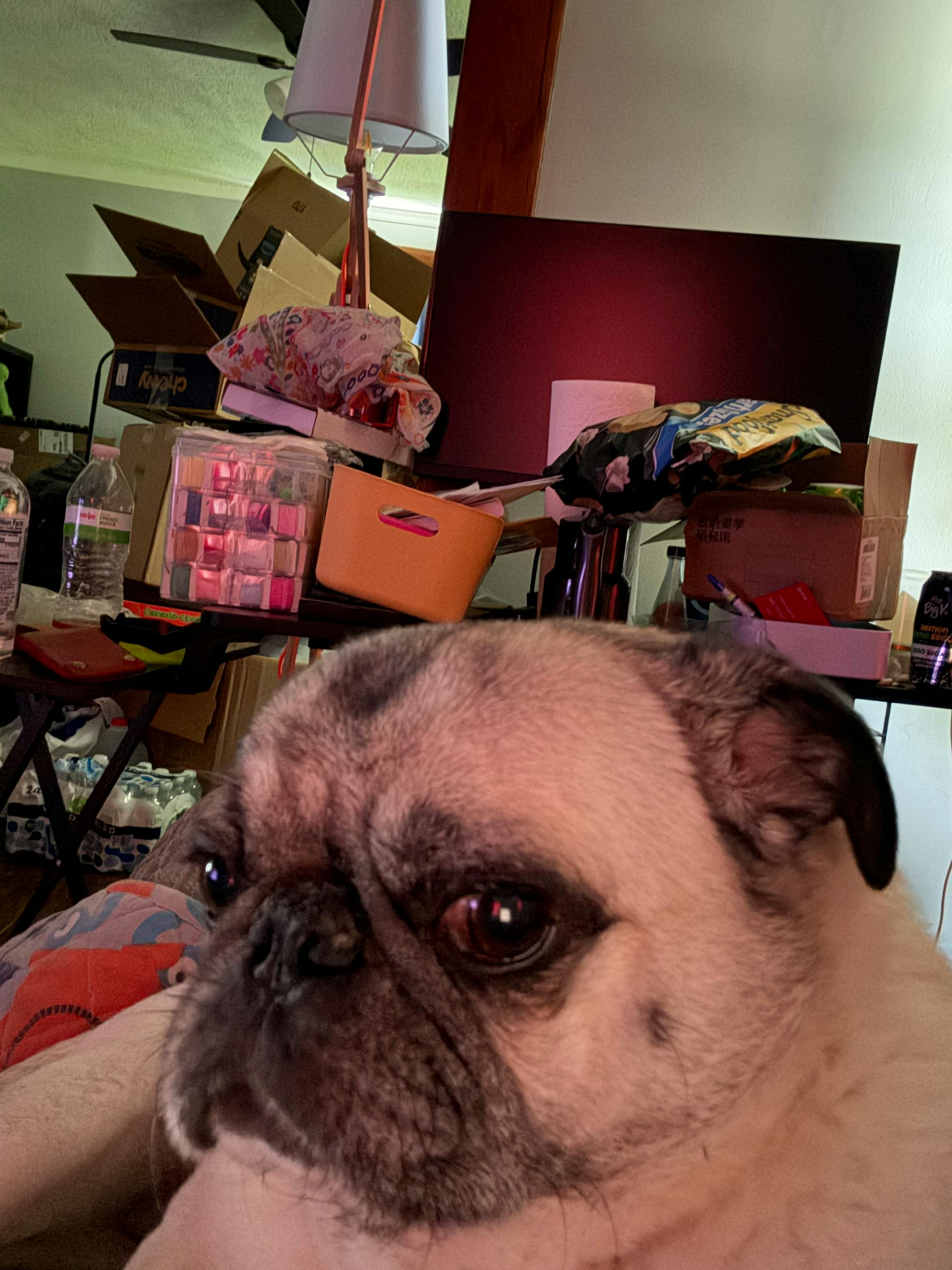 user avatar image for jusherledet