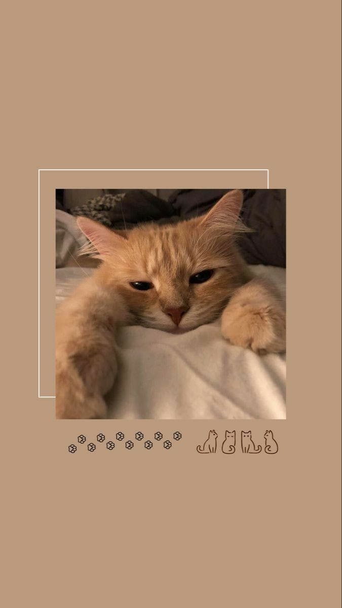 user avatar image for Alex