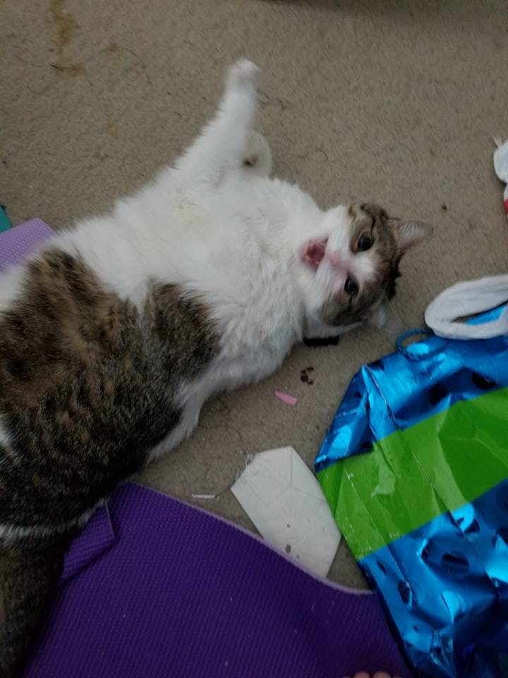 user avatar image for Mar