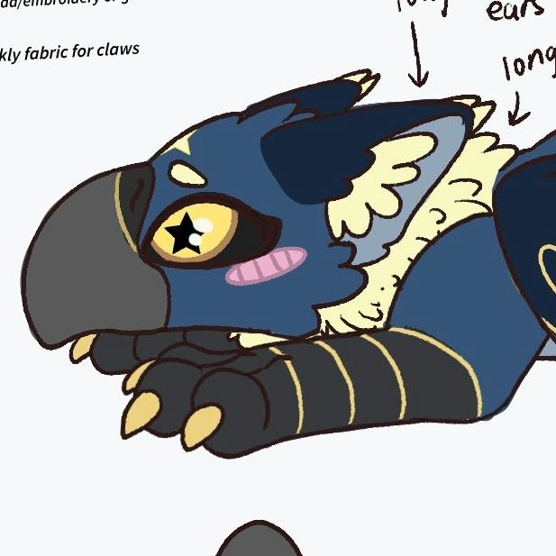Ghost’s Night Griff