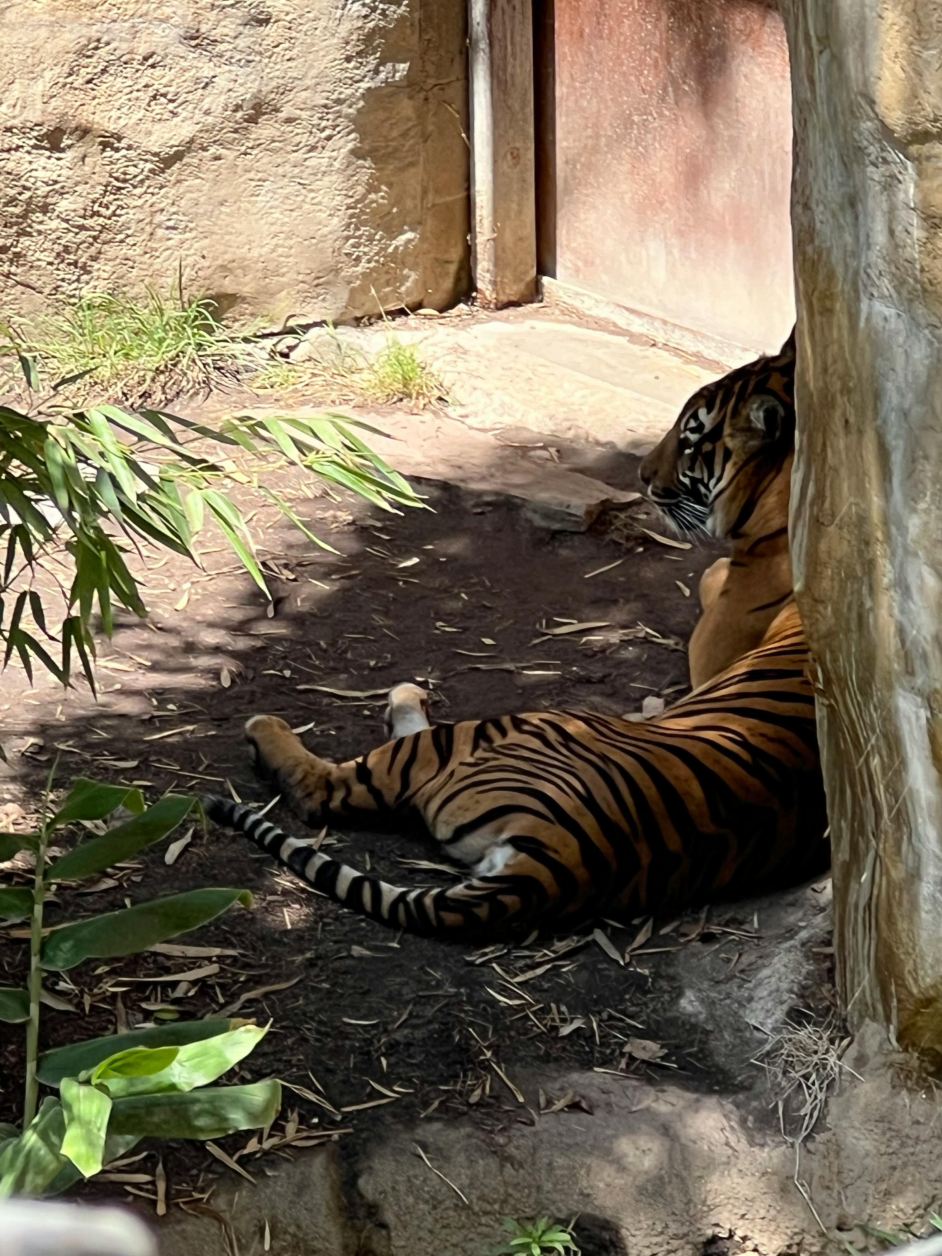 user avatar image for SoraRojas