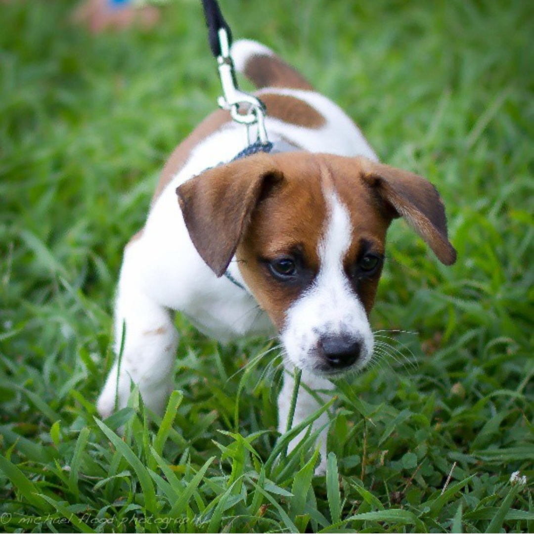 user avatar image for Alissa