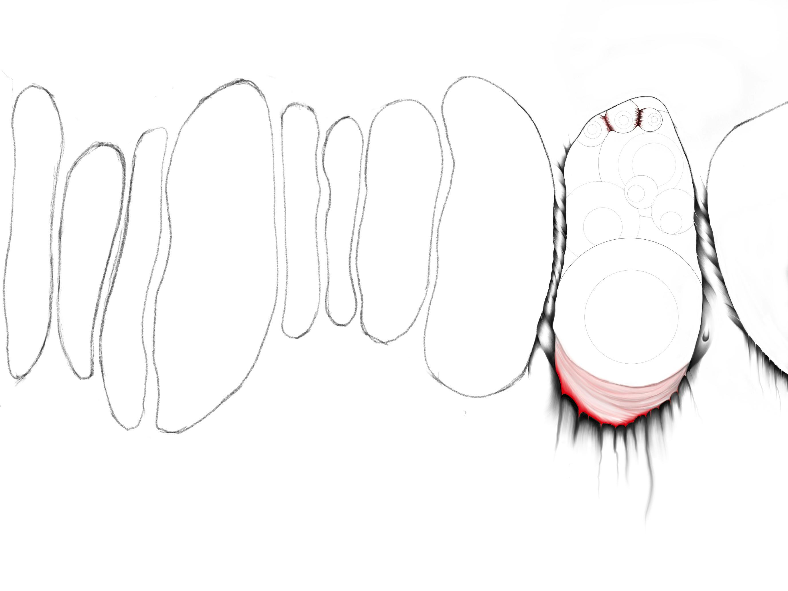 user avatar image for Wise1