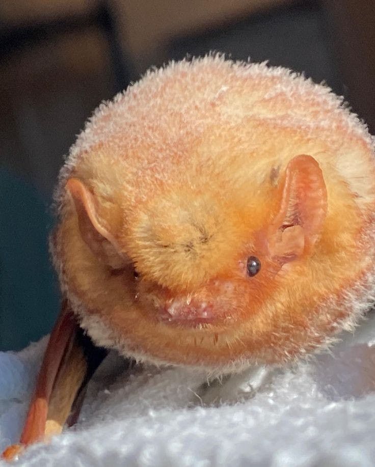 user avatar image for Abby K