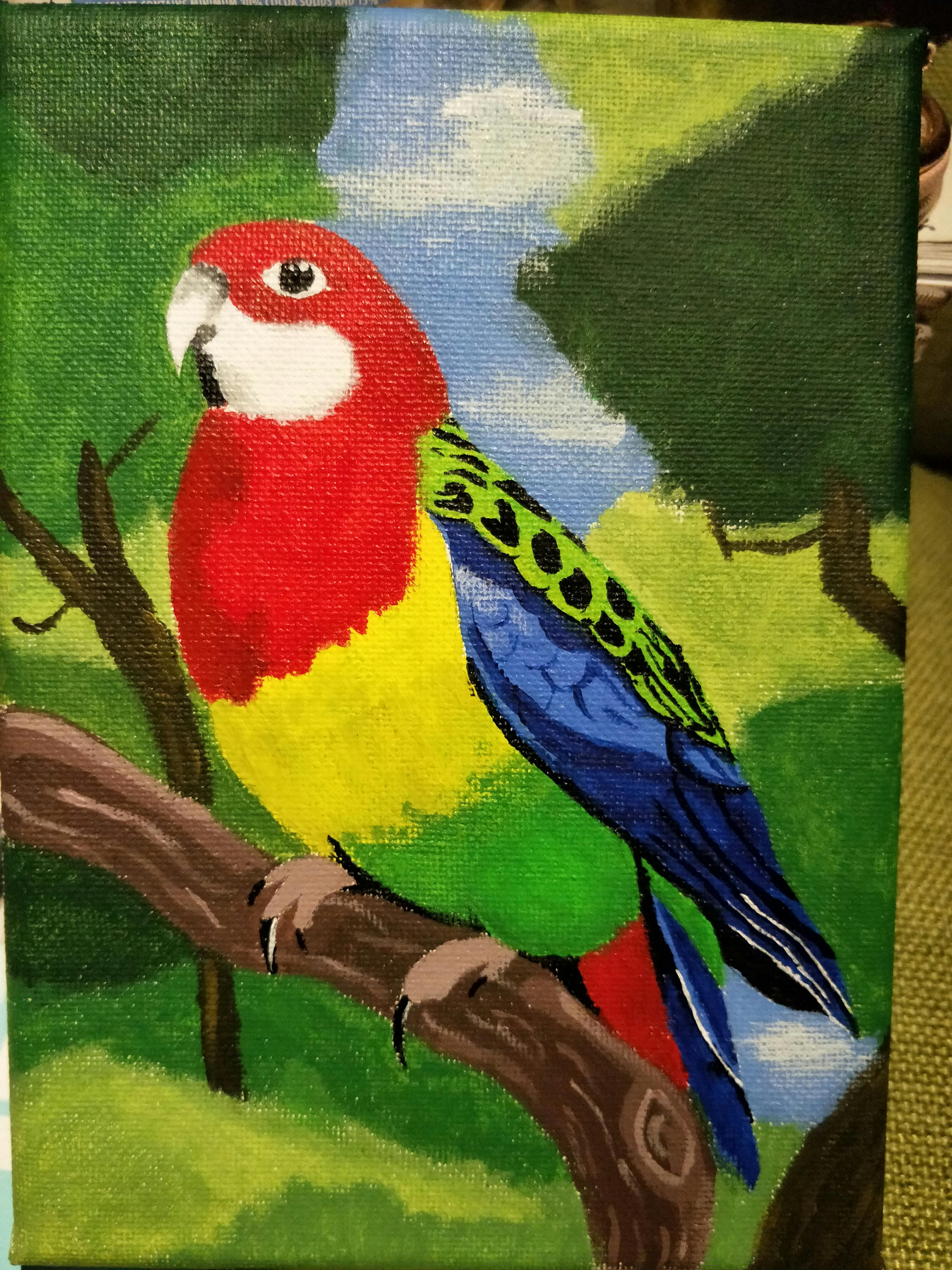 user avatar image for Deb Mason