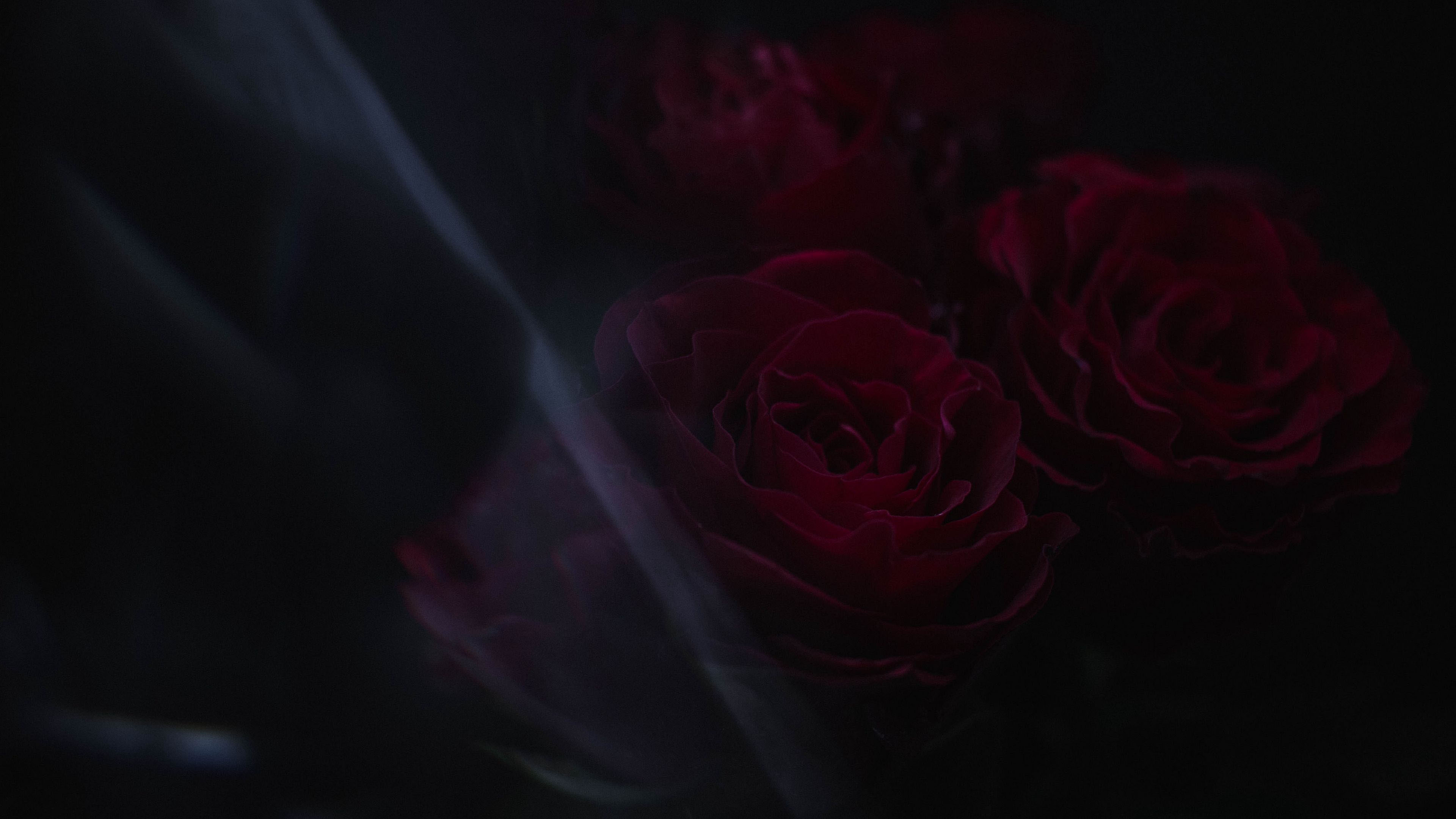 user avatar image for Hyena