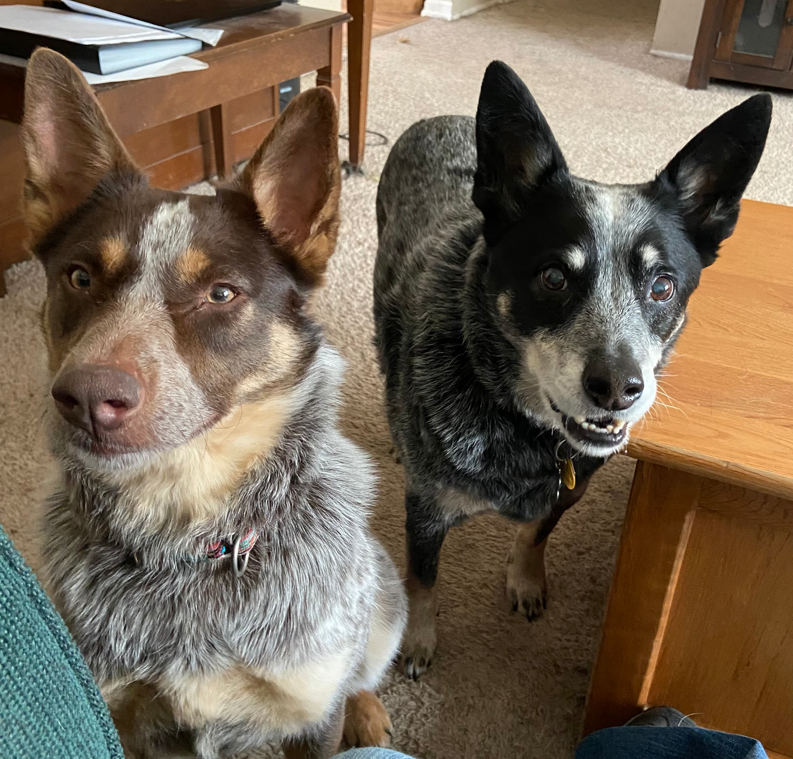 user avatar image for Squirrel