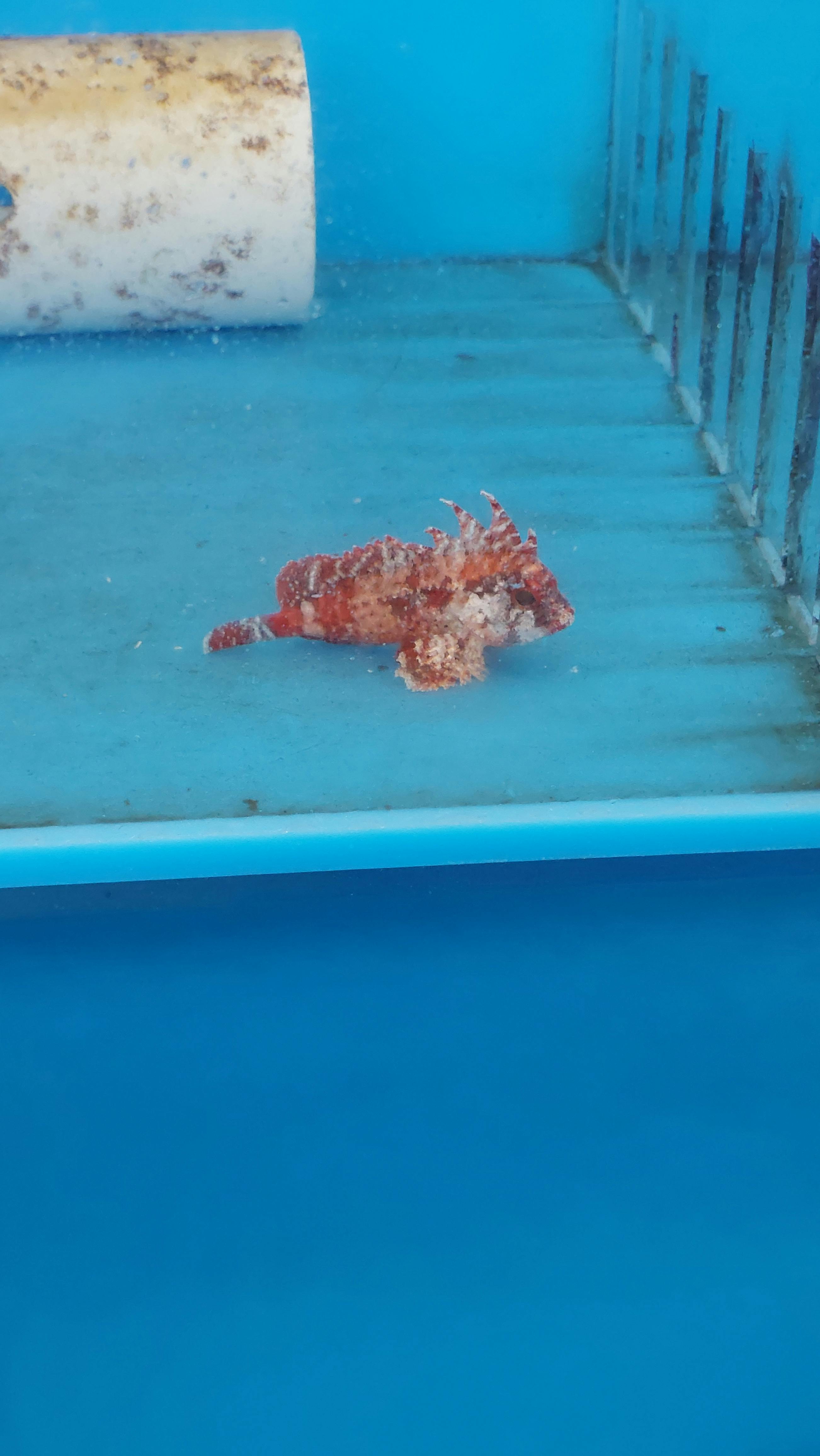 user avatar image for Bob Viviano