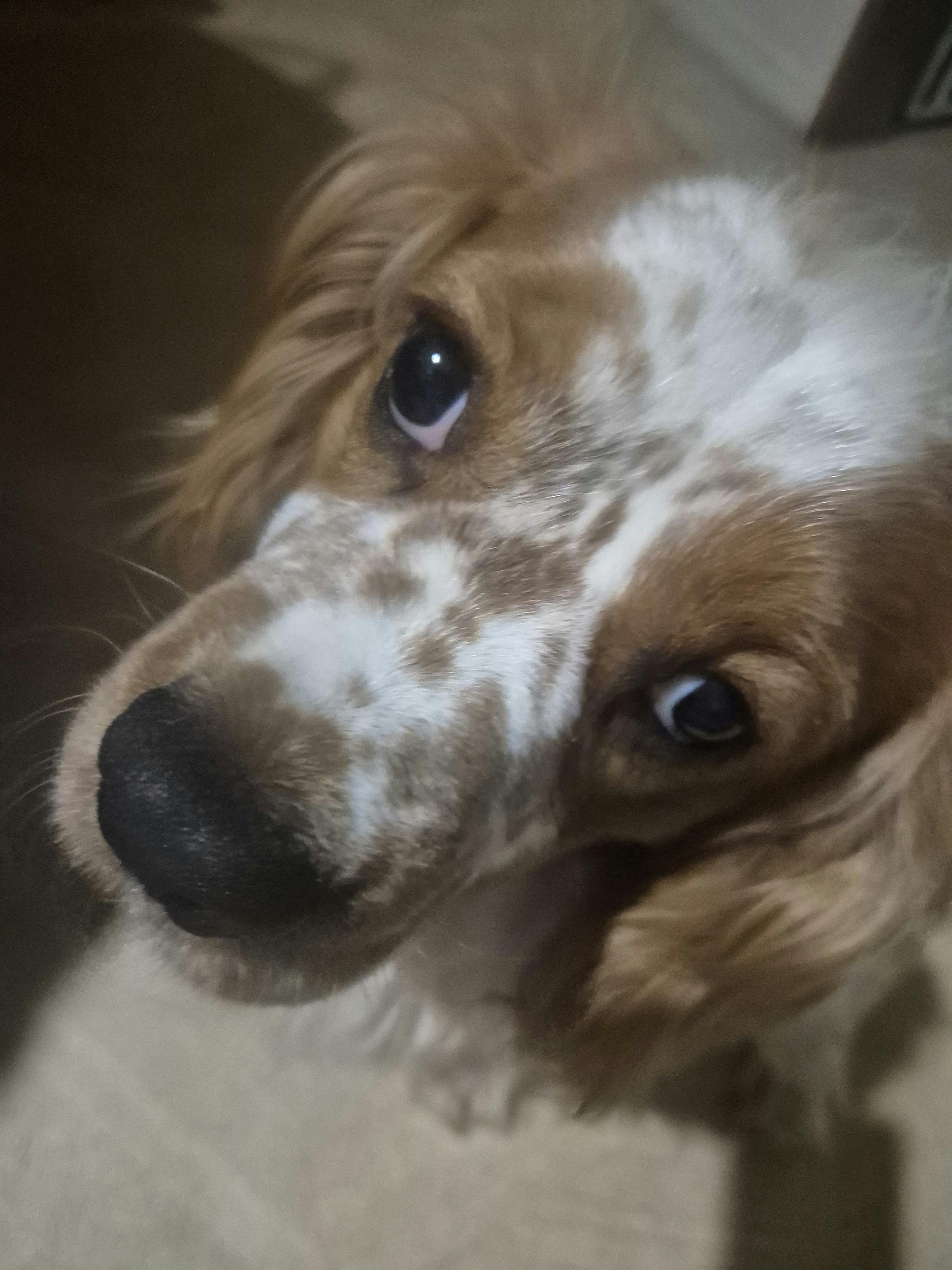 user avatar image for Shaun Batchelor