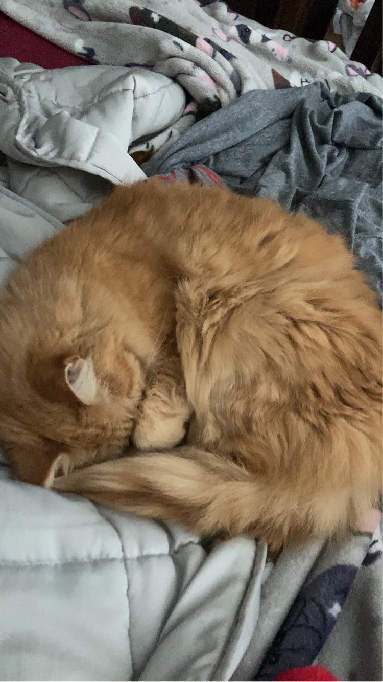 user avatar image for Lexie 