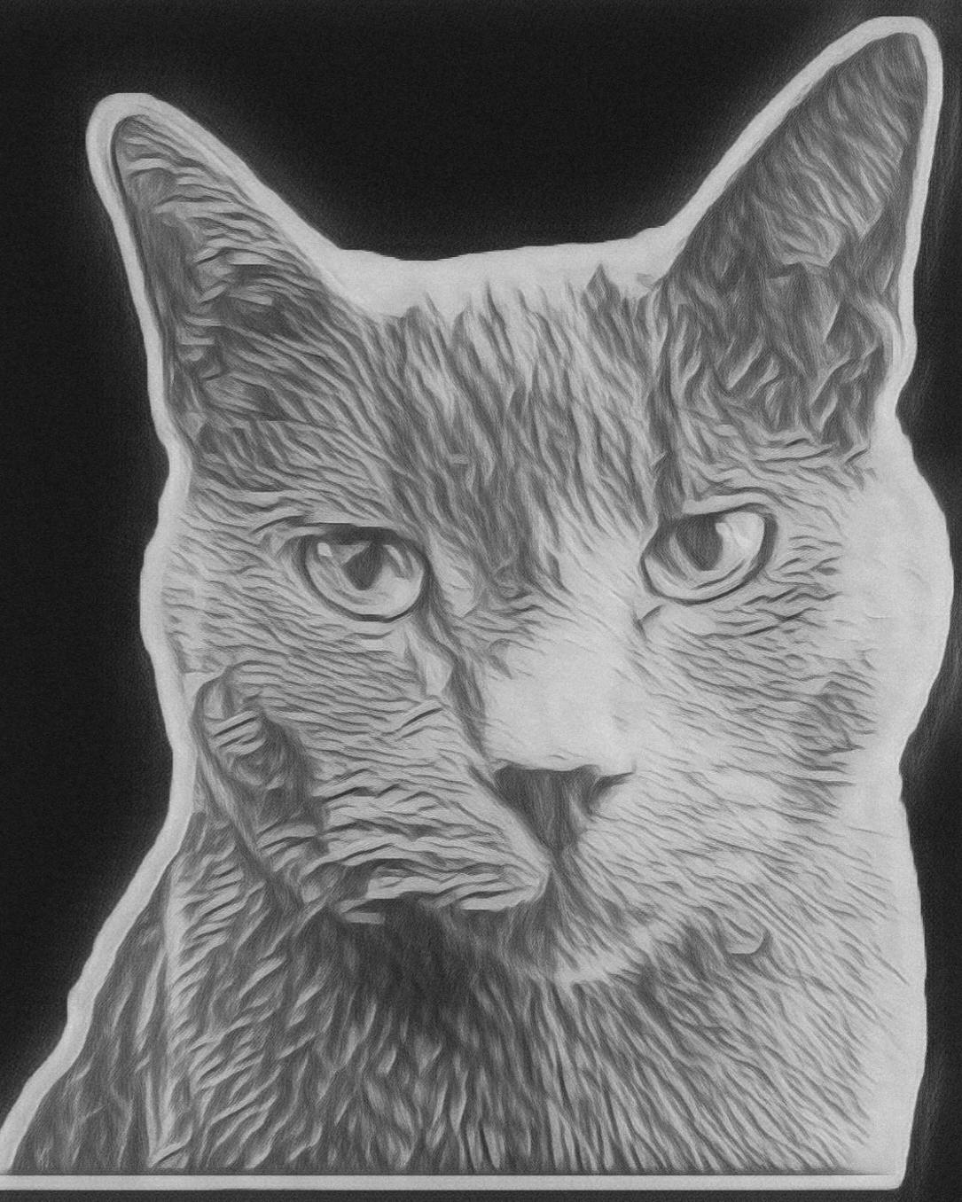 user avatar image for TheeFooLishBoyo